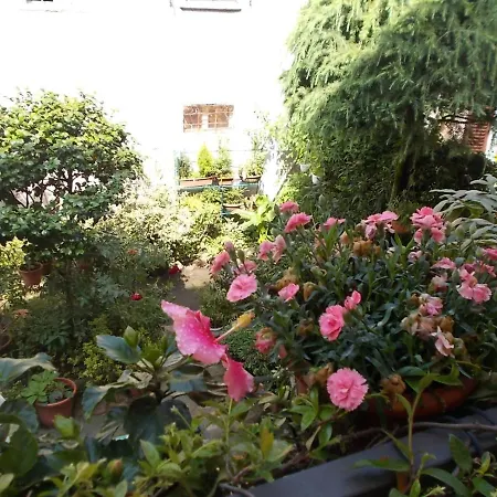 Zia Lina Bed & Breakfast