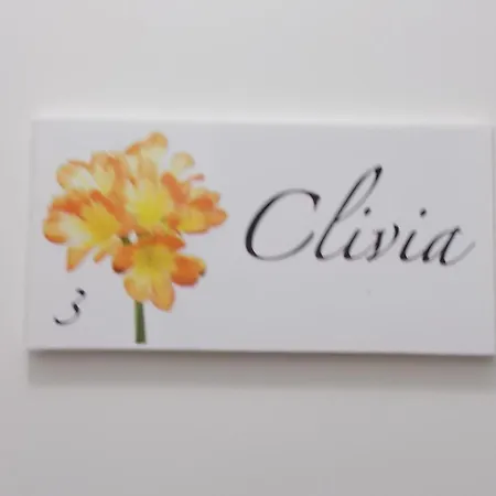 Zia Lina *